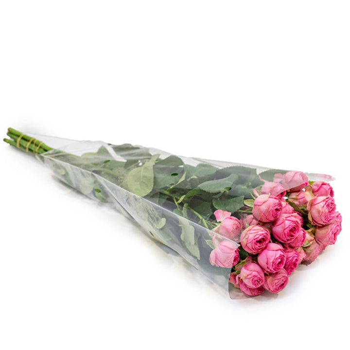 Fresh Garden Spray Rose Giselle from SQ Flora Kenya, 5 stems of vibrant pink flowers with green foliage.