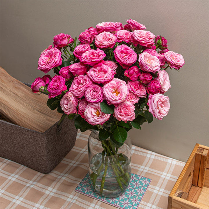 Bouquet of Lady Bombastic Garden Spray Roses with 10 stems from SQ Flora Kenya, showcasing vibrant pink flowers and lush green foliage.