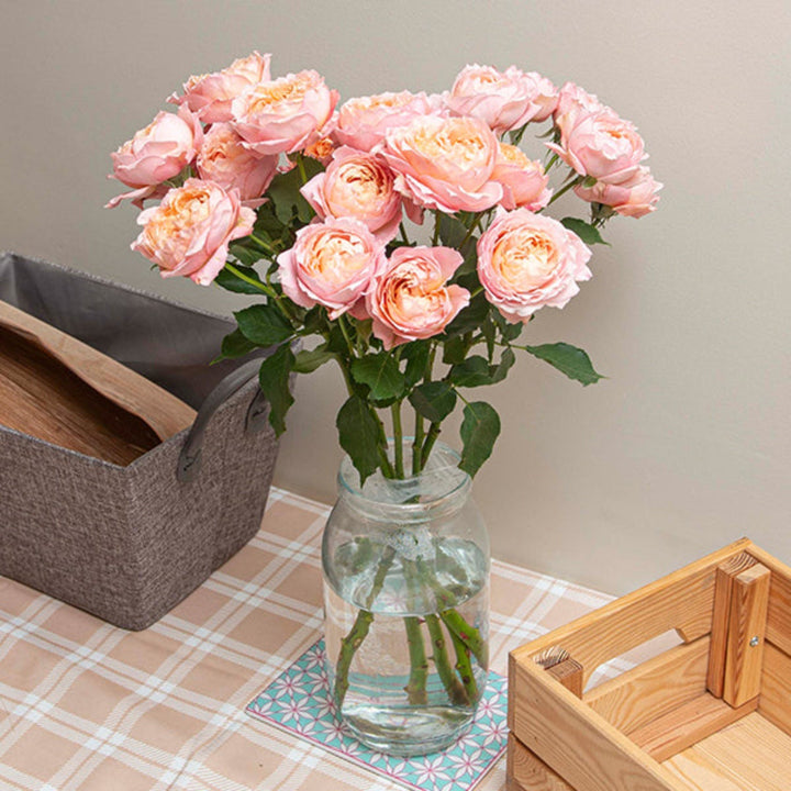 Bouquet of 5 Spray Rose Jullietaa stems from SQ Flora Kenya with lush pink blooms and green foliage.