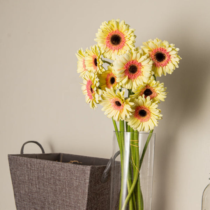 Bouquet of 10 Cindy Gerbera flowers from Flowranow with vibrant blooms and green stems, arranged in a natural display.