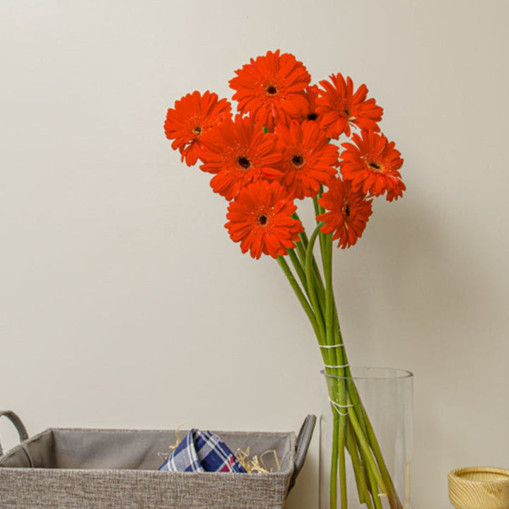Bright orange Marinilla Gerbera flowers from Flowranow, showing 10 vibrant stems with large, cheerful blooms and green foliage.