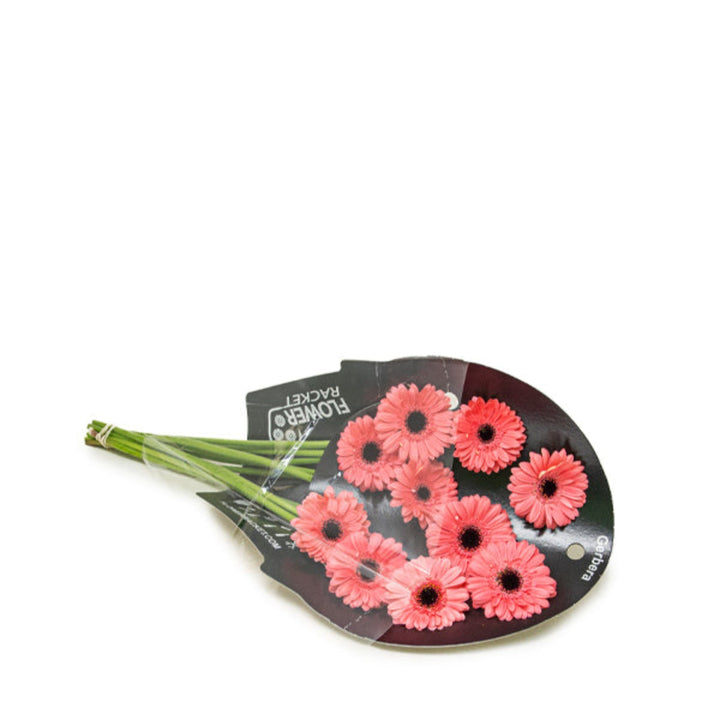 Mini Vidal Gerbera flowers from Flowranow, 10 colorful stems arranged in a bouquet, vibrant and fresh floral display