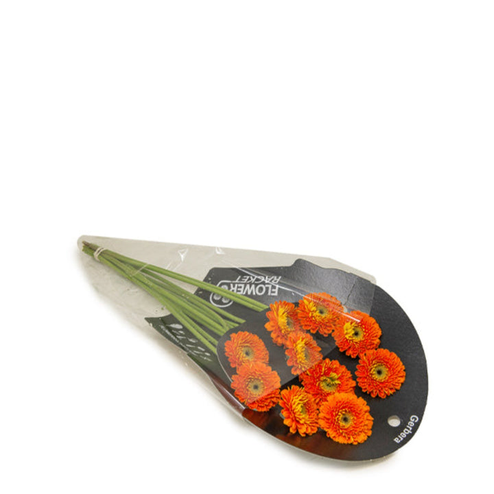 Bright yellow Gerbera daisies from Flowranow, arranged in a bouquet with 10 stems, showcasing vibrant blossoms and green foliage.