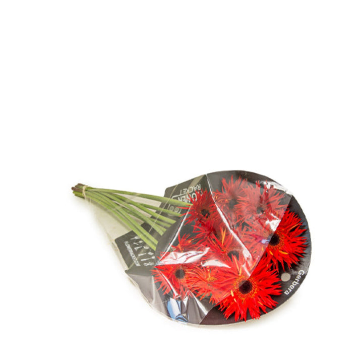 Red Gerbera flowers from Flowranow arranged in a bouquet with 10 stems, showcasing vibrant blooms and lush green foliage.