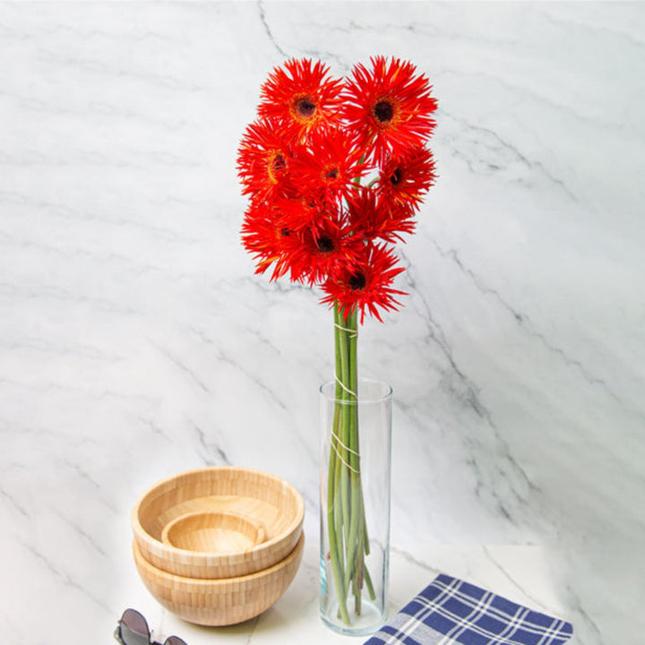 Red Gerbera flowers from Flowranow, 10-stem bouquet, vibrant blooms arranged in a natural display.