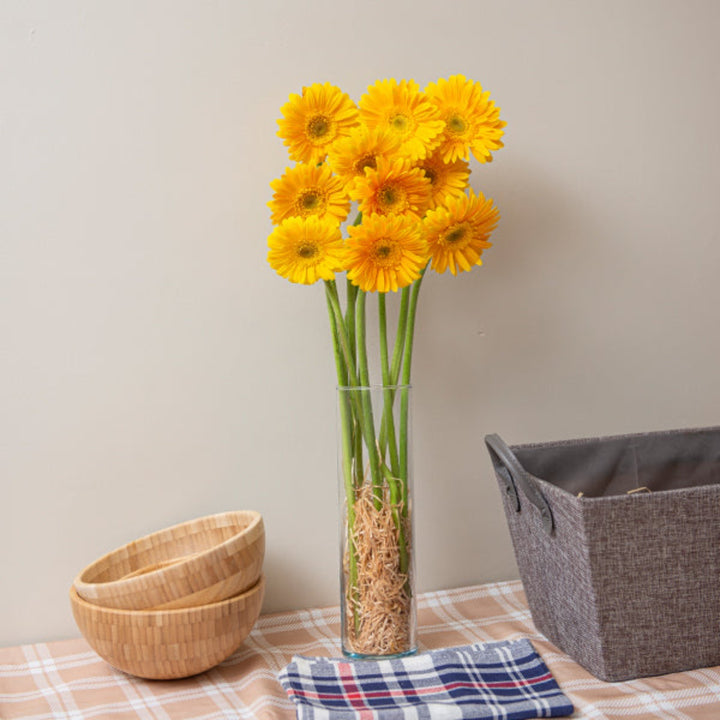Bright pink Gerbera daisies from Fresh Flower Holland arranged in a bouquet with 10 stems.