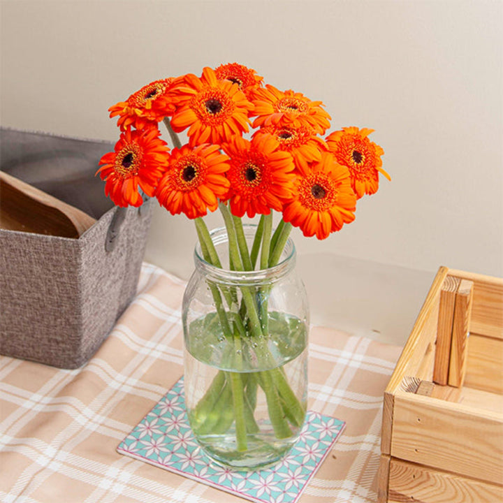 Bright orange mini polster gerbera flowers from Fresh Flower Holland, arranged in a bunch of 10 stems.