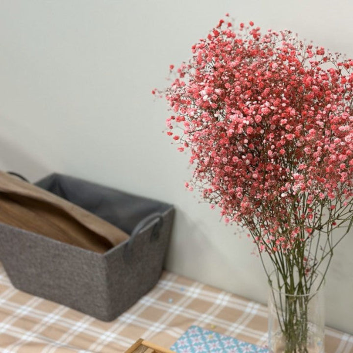 Red-pink tinted Baby's-breath gypsophila flowers on 10 stems, natural floral arrangement by Bella Rose.