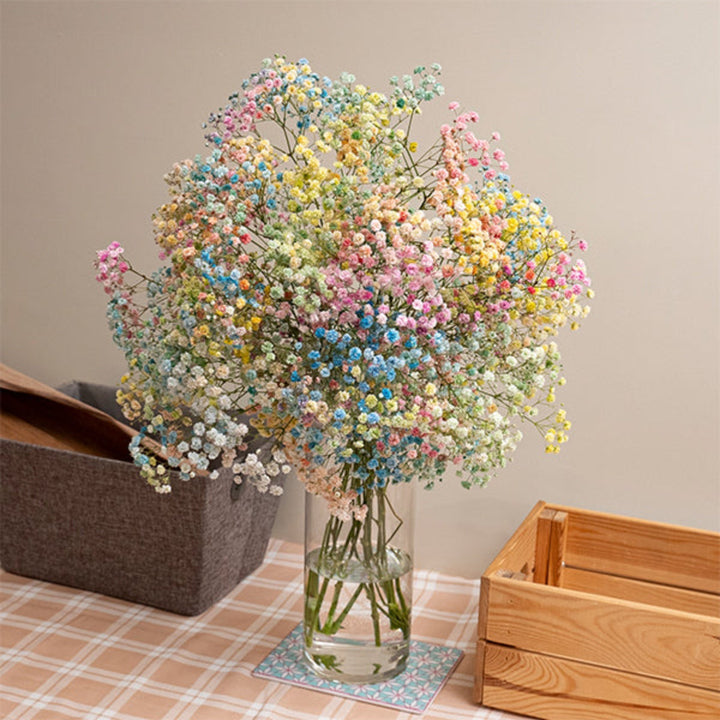 Pastel rainbow Gypsophila flowers from Bella Rose with 10 stems, featuring delicate white blooms with colorful pastel accents.
