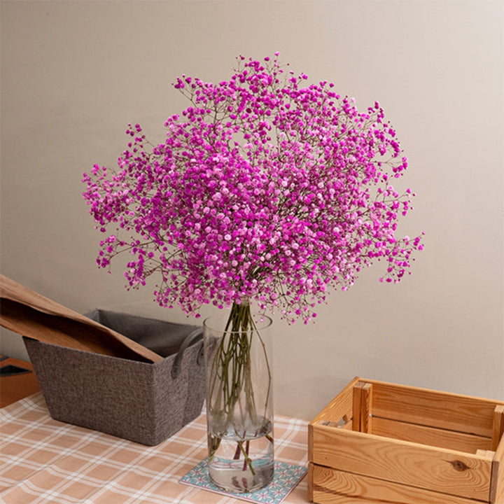 Bright pink tinted Gypsophila flowers on 10 stems from Bella Rose, showcasing delicate blooms and lush greenery.