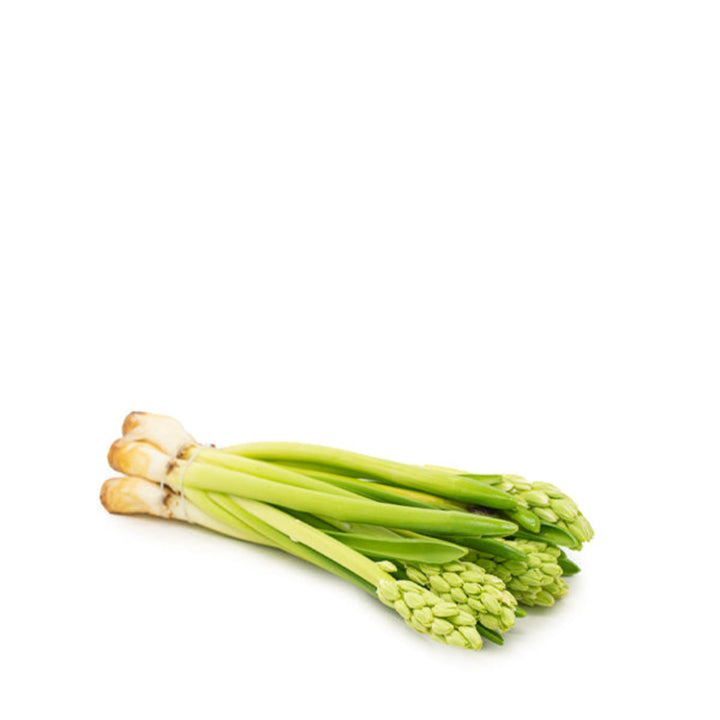 Hyacinth, Top White, scented, 5 Stems - Sharbatly.Club