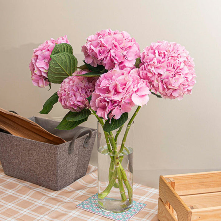 Pink Hydrangea Force flower stems from SQ Flora Kenya, featuring five vibrant blooms with lush green foliage.