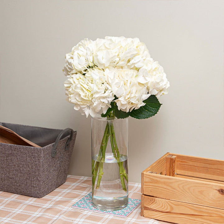 White Hydrangea Ice Age flower stems from SQ Flora Kenya, showcasing five lush, blooming white hydrangea stems.