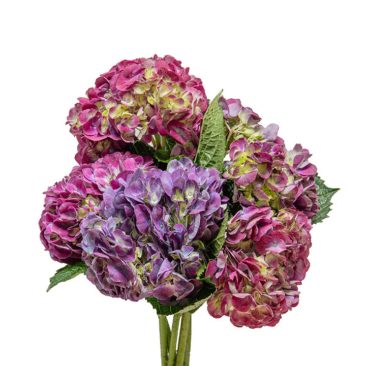 Purple hydrangea flowers from SQ Flora Kenya, 5-stem arrangement of vibrant, lush blooms in a natural floral display.
