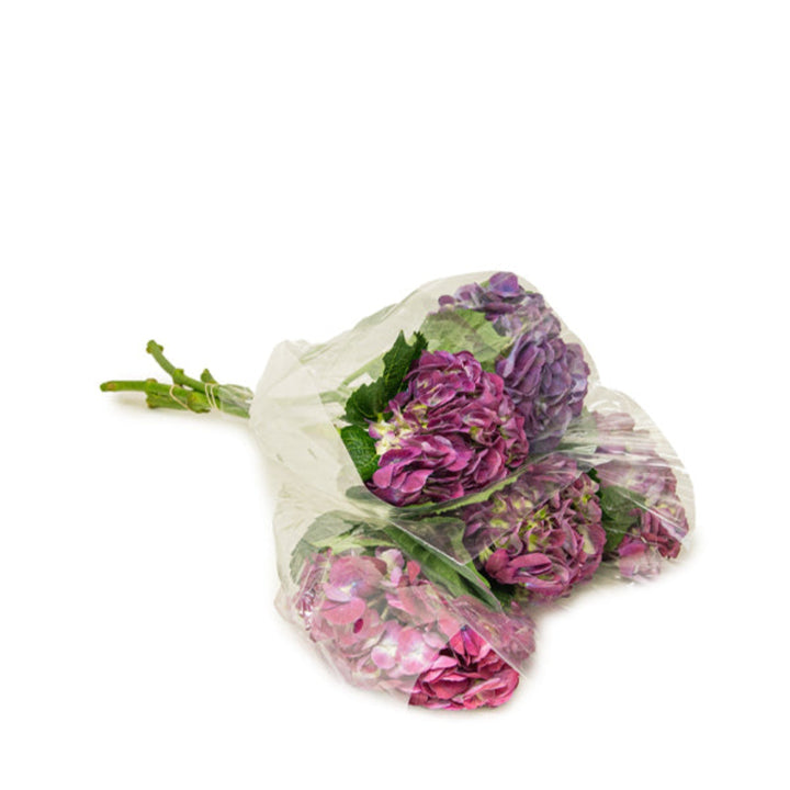Purple hydrangea flower stems from SQ Flora Kenya, showcasing vibrant blooms on five elegant stems.