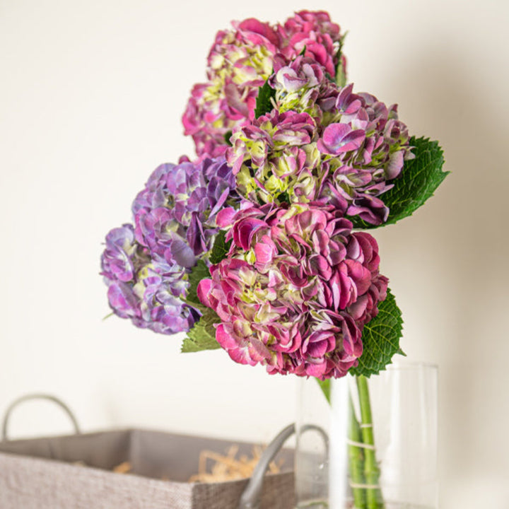 Purple Hydrangea flowers from SQ Flora Kenya, arranged in a bouquet with five stems, showcasing vibrant blooms.