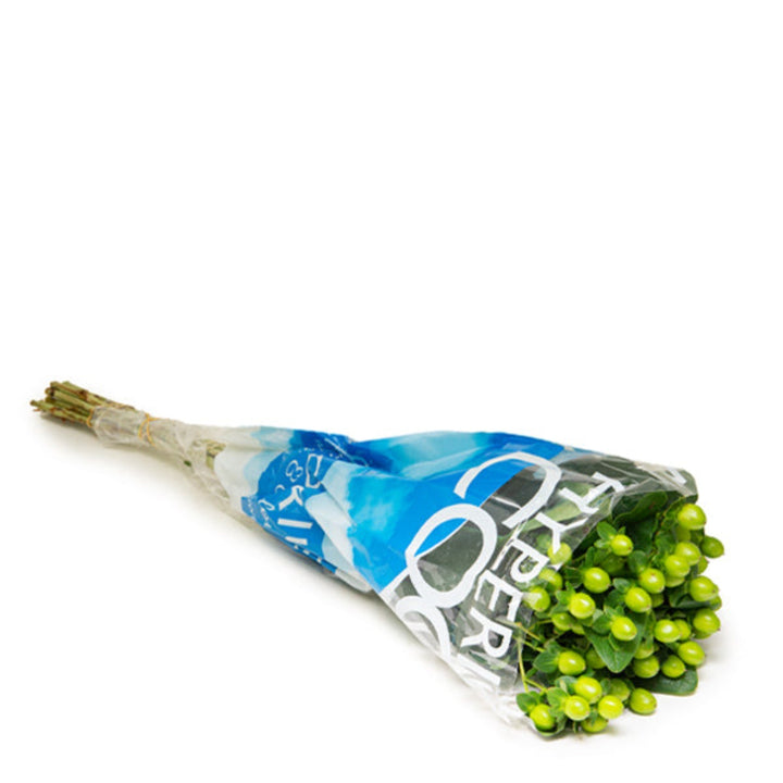 Green Hypericum flowers from Black Tulip arranged in a bouquet with Coco Bamboo stems, featuring 10 stems of vibrant flowering greenery.