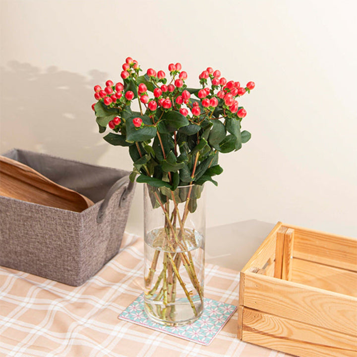 Red Hypericum Coco Tango flower stems by Black Tulip, showcasing vibrant blooms and lush green foliage.