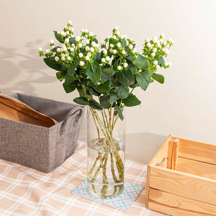 White Hypericum Coco Uno flower stems by Black Tulip, showing fresh, vibrant blossoms on multiple stems.