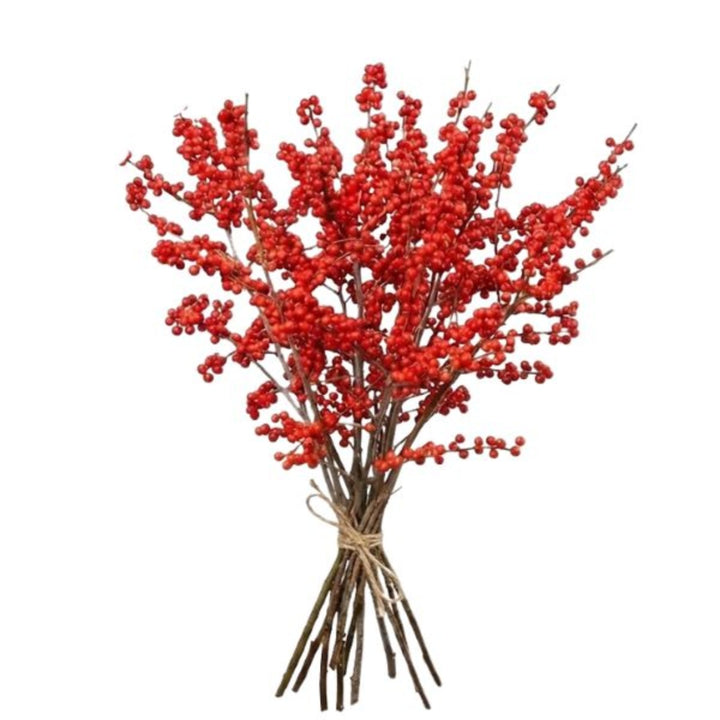Bouquet of red berries tied with twine on a white background