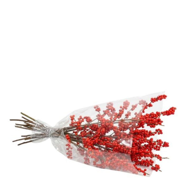 Ilex berries , red, 10 stems - Sharbatly.Club