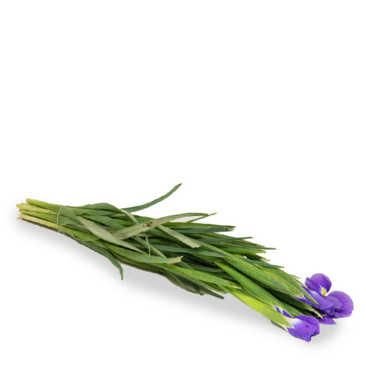 Blue Iris flower stems from Fresh Flower Holland, showcasing vibrant blue hybrid iris blooms in a natural arrangement.
