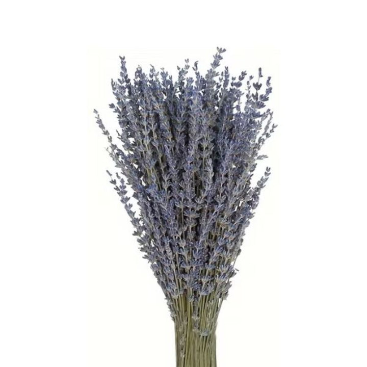 Semi-dried lavender bunch from Fresh Flower Holland, 0.1 kg, showcasing fragrant purple flowers ideal for decoration or arrangements.
