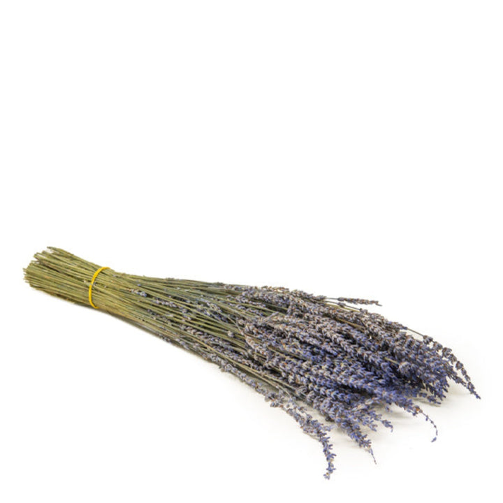 Semi-dried lavender bunch from Fresh Flower Holland, 0.1 kg, showcasing fresh purple flowers for decorative or aromatic use.