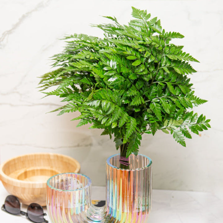 Fresh Flower Holland leather leaf fern stems, 18-pack, realistic green floral foliage for arrangements and decor.