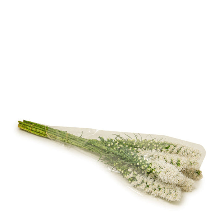 White Liatris Spicata Alba flower stems with tall, slender blooms, arranged in a bouquet showcasing natural elegance.