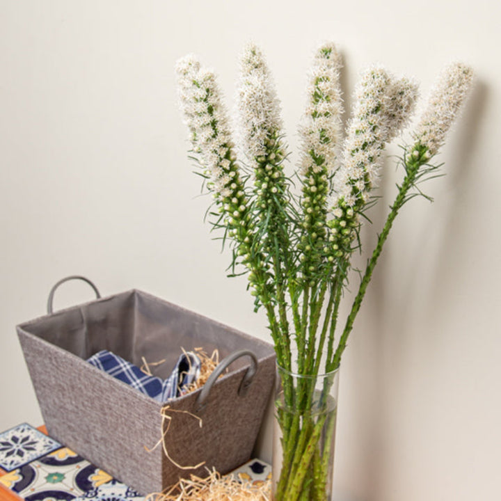 White Liatris Spicata Alba flower stems arranged in a bouquet, showcasing tall, slender purple-tipped flowers on green stems.