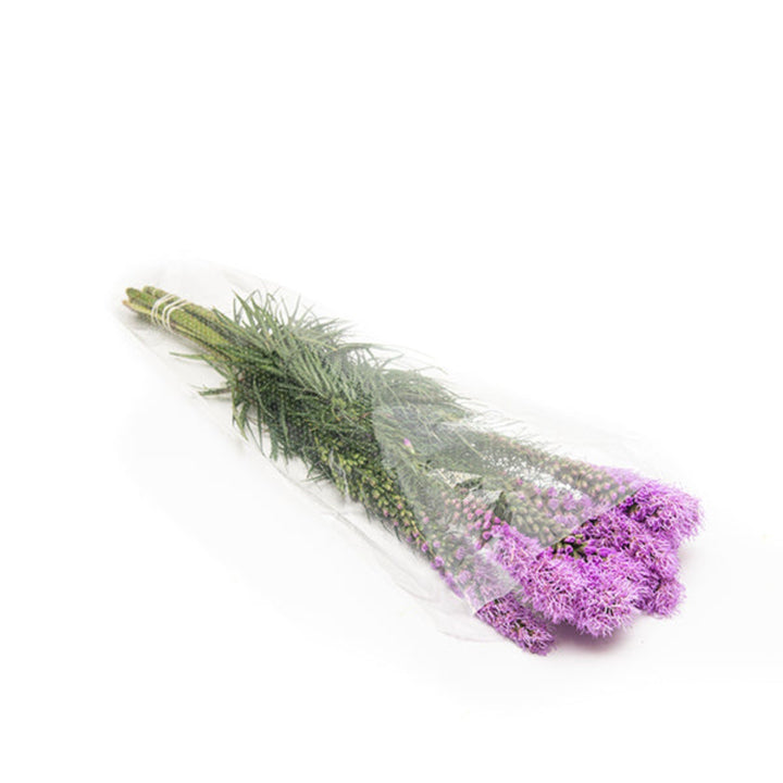 Liatris, Spicata Purple, 10 Stems - Sharbatly.Club