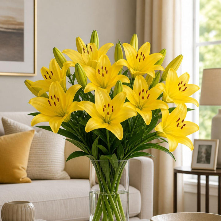 Fresh Flower Holland Nashville Yellow Asiatic lilies with five stems, vibrant yellow Dutch flower bouquet.