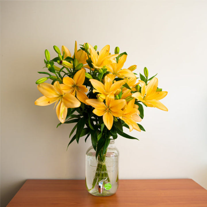 Bouquet of 10 Asiatic Orange lilies from Flowranow, vibrant orange flowers with large petals and green stems.