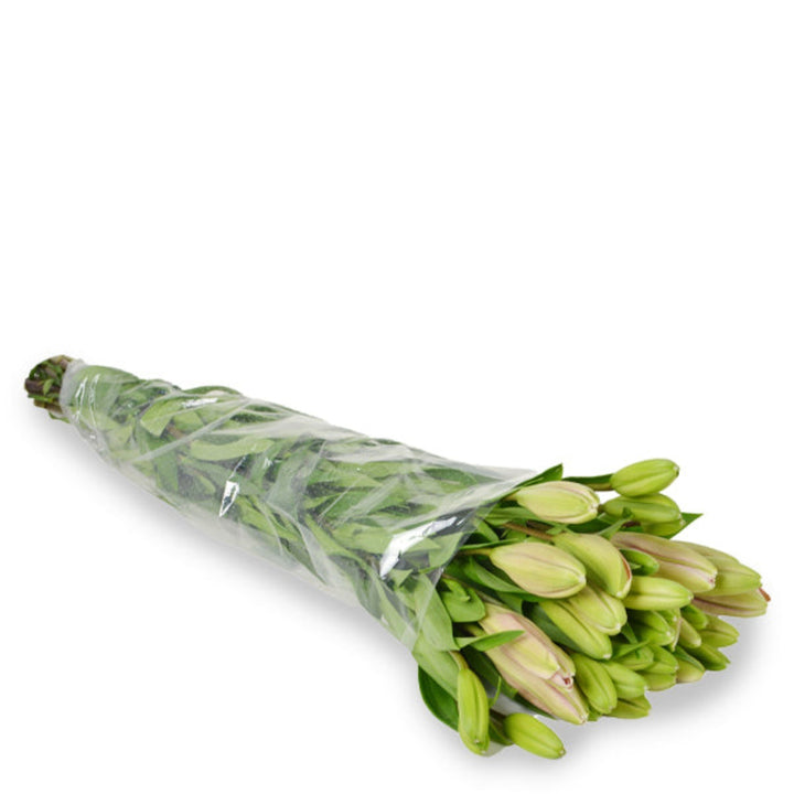 Pink Asiatic lilies from Flowranow with 10 stems, showcasing vibrant blooms and lush green stems.