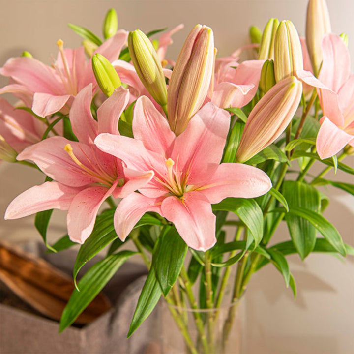 Pink Asiatic lilies from Flowranow with 10 stems, showcasing vibrant blooms and lush green foliage in a natural flower arrangement.