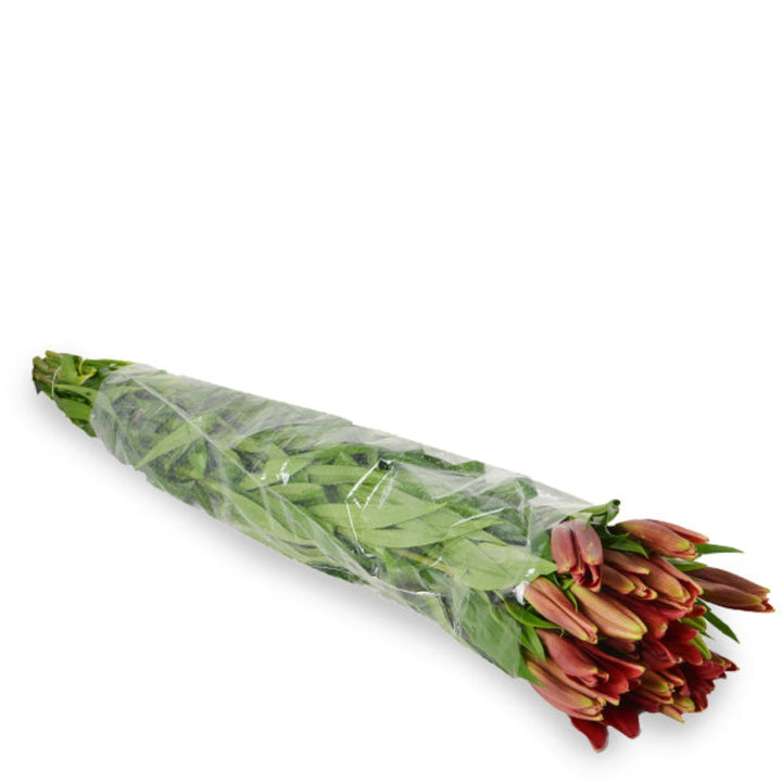 Red Asiatic lilies from Flowranow, 10 stems of vibrant, elegant flowers arranged in a natural bouquet.