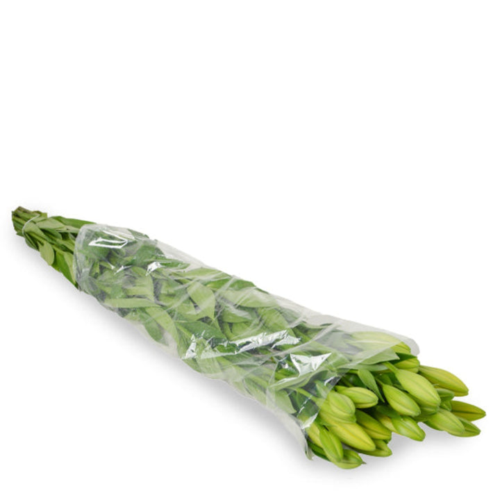 Yellow Asiatic lilies from Flowranow with 10 fresh flower stems, showcasing vibrant blooms and lush green leaves.