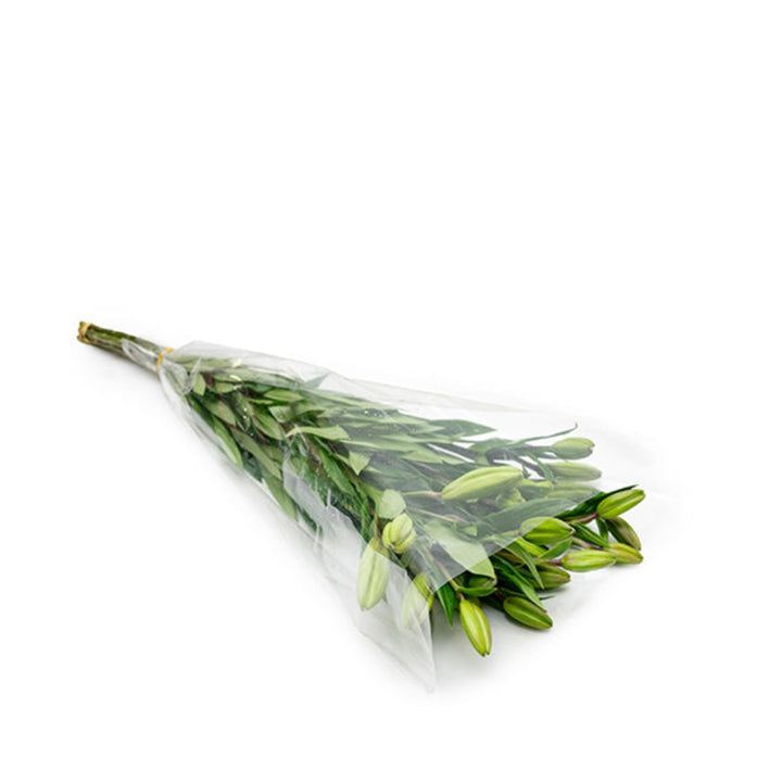 Fresh Flower Holland Asiatic Lily bouquet with five Brindisi Pink Dutch lilies, showcasing vibrant pink blooms and green foliage.