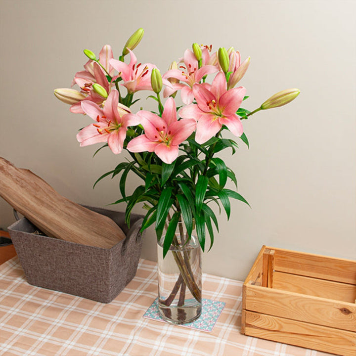 Five stems of Asiatic lilies in Brindisi Pink from Fresh Flower Holland, showcasing vibrant pink flowers with green stems.
