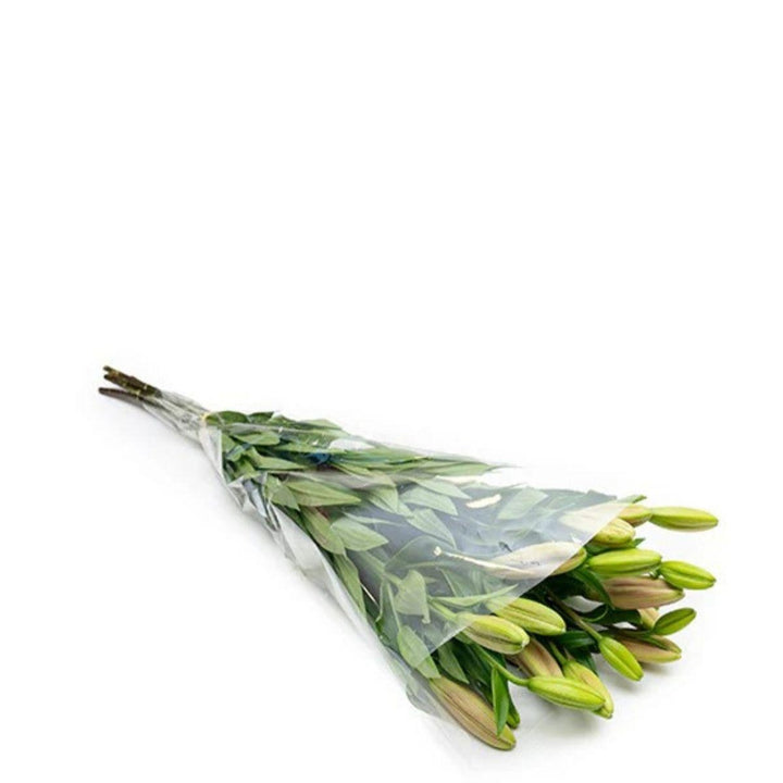 Fresh Asiatic Corleone Red lilies with 5 stems, vibrant red flowers arranged in a bouquet, on a neutral background