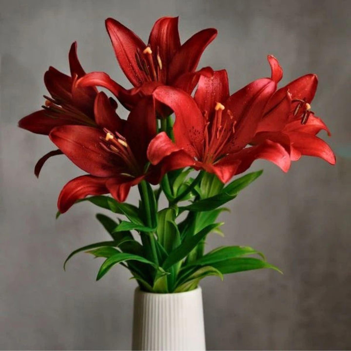 Fresh Asiatic Corleone Red lilies, 5 stems, vibrant Dutch flower bouquet from Fresh Flower Holland.