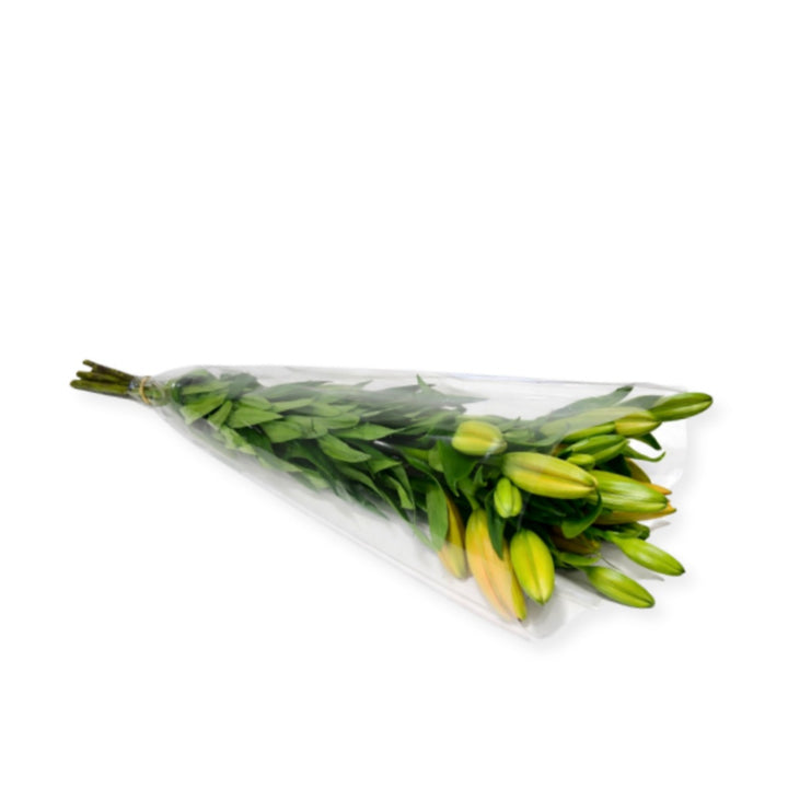 Five stems of vibrant Cortona Orange Asiatic lilies from Fresh Flower Holland, showcasing their bright orange blooms.