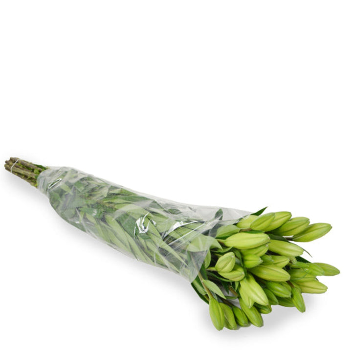 Fresh Flower Holland Oriental lilies with double petals, scented, arranged in 10 stems on a floral display.