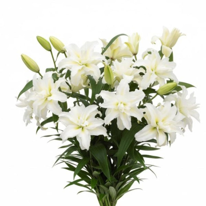 Bouquet of 5 scented Oriental lilies with double petals from SQ Flora Kenya, arranged in a floral display.