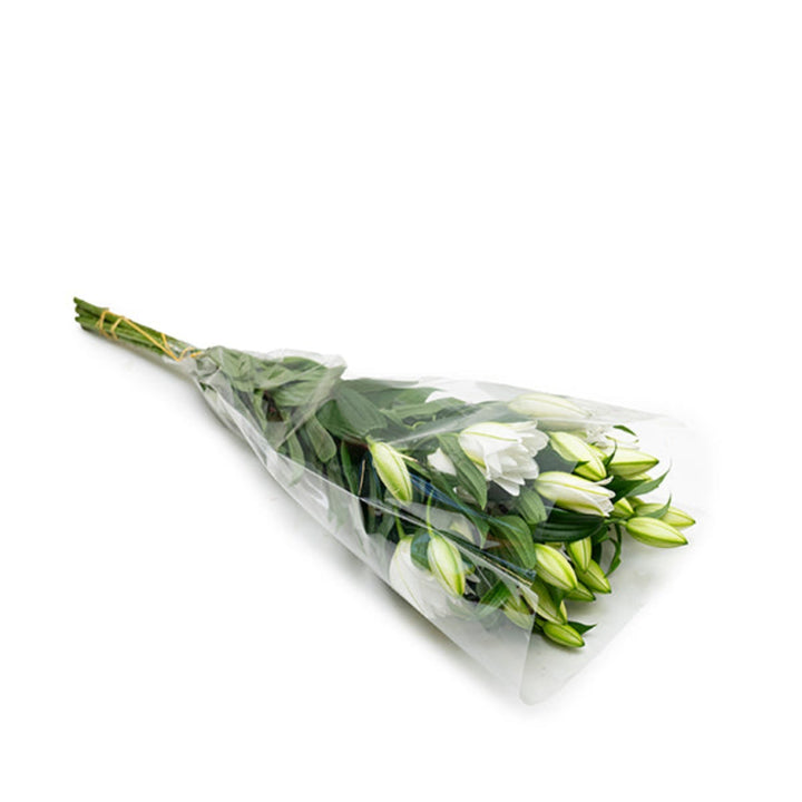 Pair of scented Oriental Dejima lilies with double petals, featuring five stems of vibrant Dutch flowers by SQ Flora Kenya.