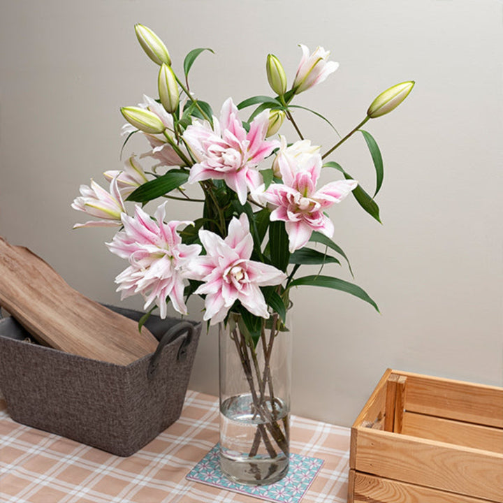 Bouquet of five scented Oriental Isabella lilies with double petals from SQ Flora Kenya, arranged in a natural floral display.