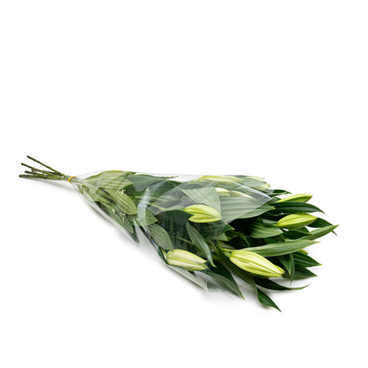 Pink Oriental lilies from Fresh Flower Holland, scented flower bunch with 5 stems, showcasing large, vibrant blossoms.