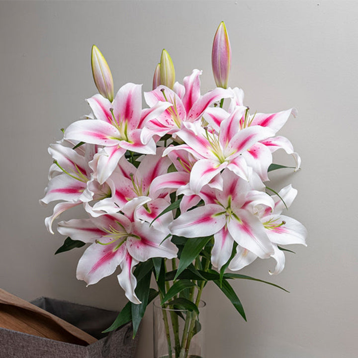 Pink Oriental lilies from Fresh Flower Holland, scented Dutch flowers with 5 stems, arranged beautifully for floral display.