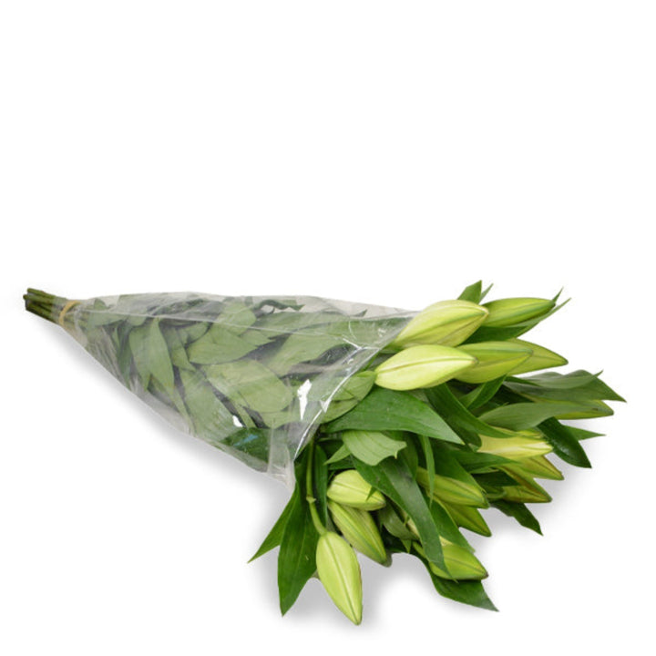 White Oriental lilies from Flowranow, XL bouquet of 10 scented flower stems with elegant blooms.